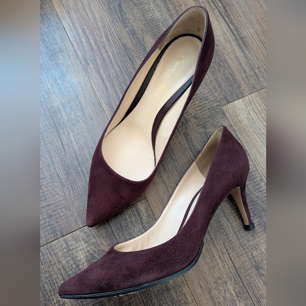 Gianvito Rossi Burgundy Suede Low Heel Pumps